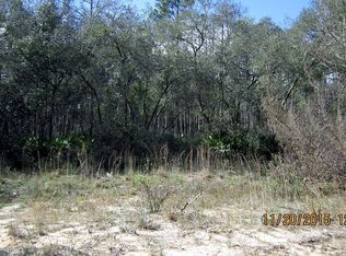 116 Hawksnest Rd, Satsuma, FL 32189