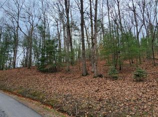 13 Mangums Trl, Blue Ridge, GA 30513