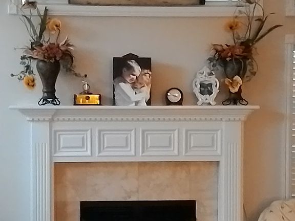 Gas fire place in den