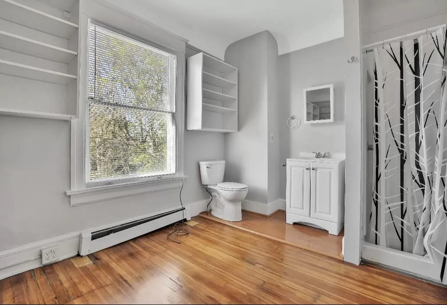 Studio, 250 sqft, $999 — Photo 3