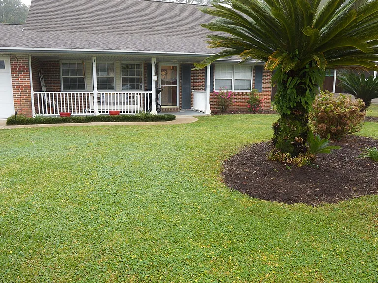31 Driftwood Ave — Photo 1