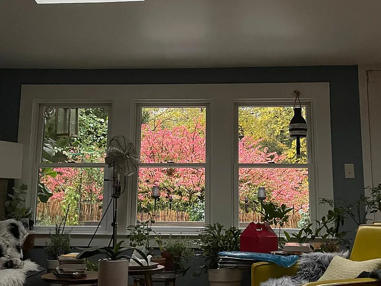 view from living room area