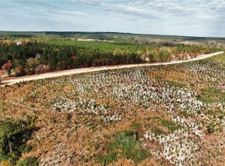 0 George Freeman Ln, Patrick, SC 29584