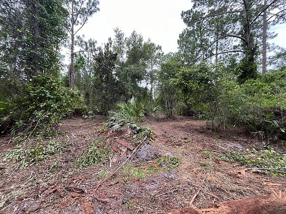 2nd image of 147 Roebuck Street