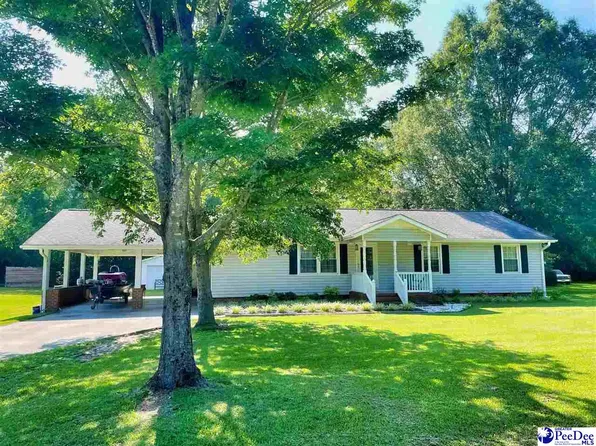 156 Chatham Trace Cir, Cheraw, SC 29520