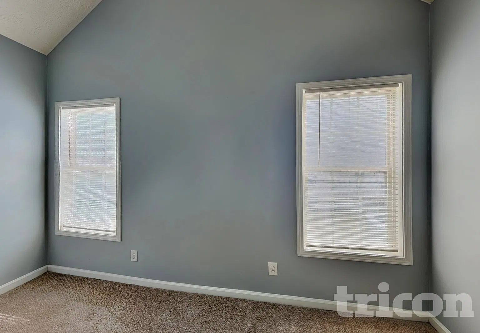 121 Carl Barrett Drive Canton GA — Photo 4