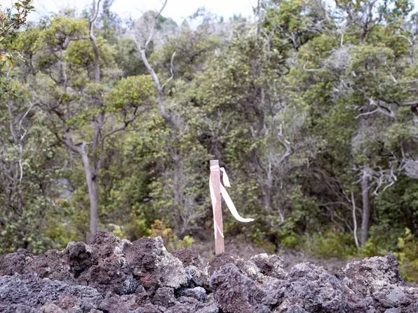 92-9054 Tiki Ln, Captain Cook, HI 96704