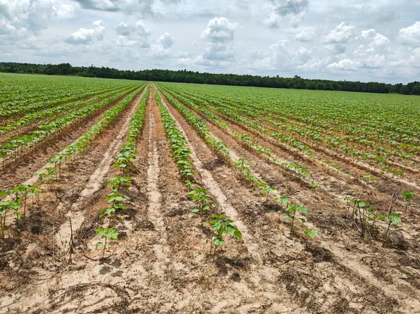 0 Coulee Swamp Rd #134, Collinston, LA 71229
