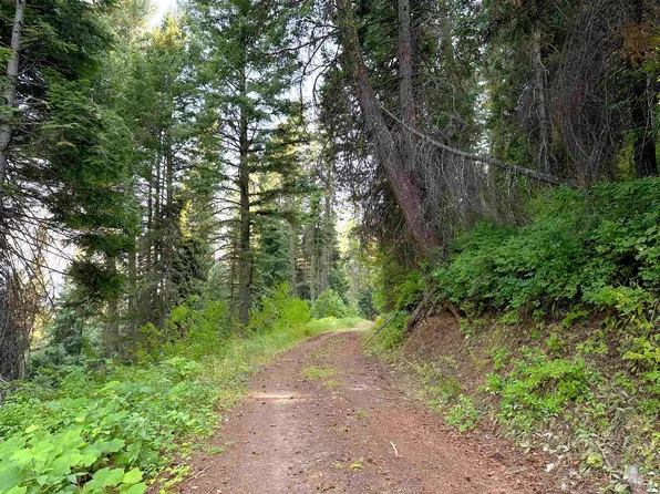 Bear Rock Trl, Cascade, ID 83611