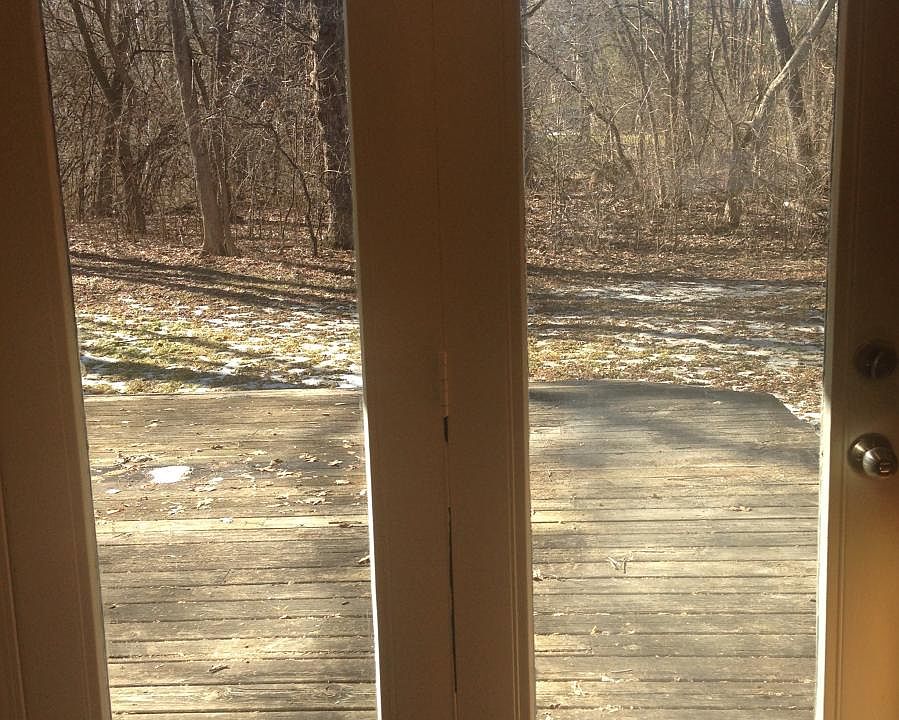 Backyard from Kitchen Door