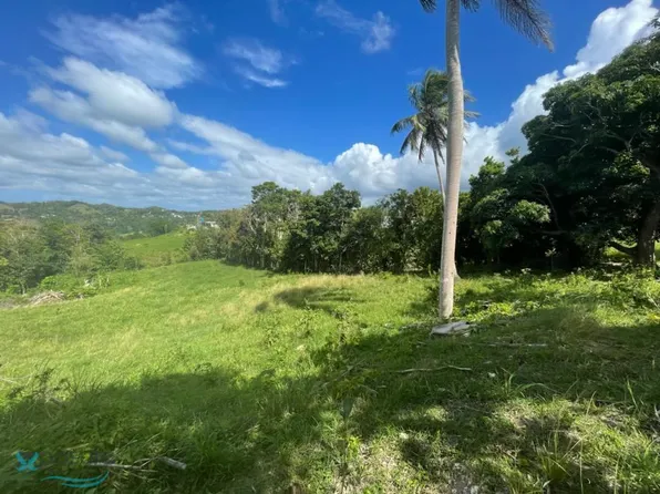 488 Prairie, Camuy, PR 00627