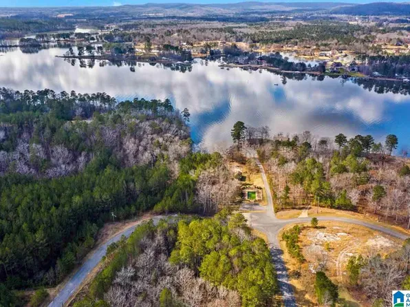 0 Broken Arrow Rd #119, Sylacauga, AL 35151