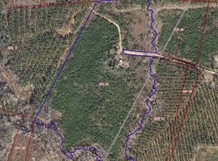 100 Tutelo Trl, Hollister, NC 27844