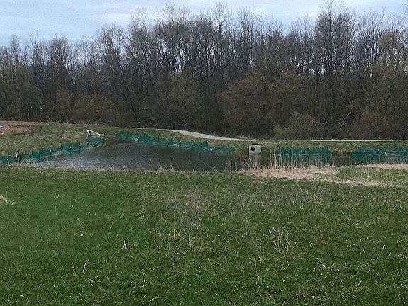 Pond, Trails, and Treeline