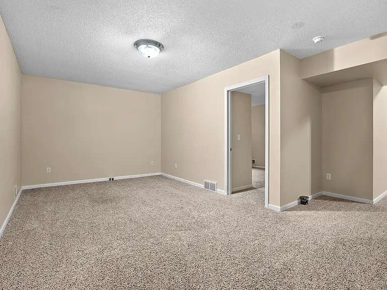 Basement Living room