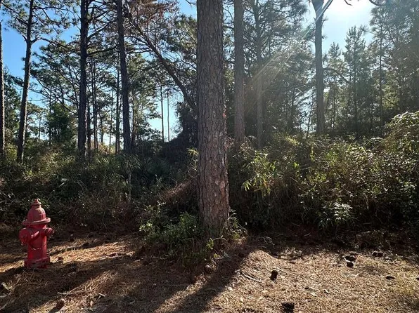 255 Royal Tern Way, Carrabelle, FL 32322