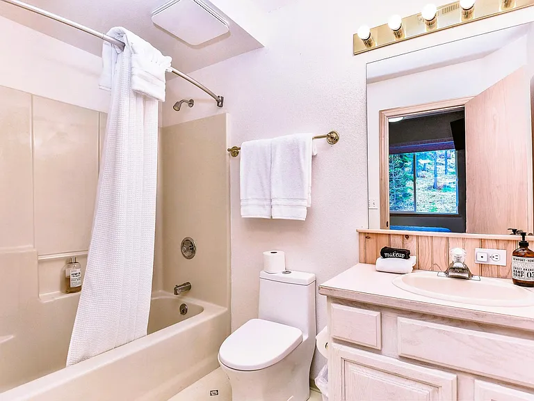Guest bath 1