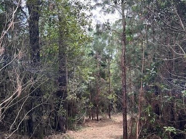 County Road 307 #307-LOT 2, Navasota, TX 77868