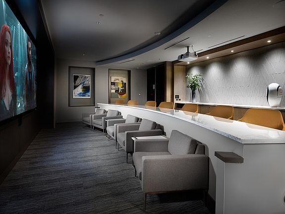 Private Screening Room