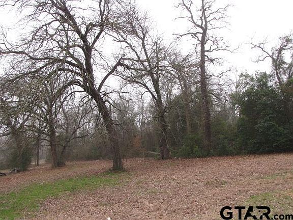 3rd image of 99.8 Ac Loop Hwy #571-259