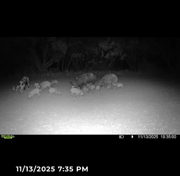 8234 County Road 266 — Photo 35