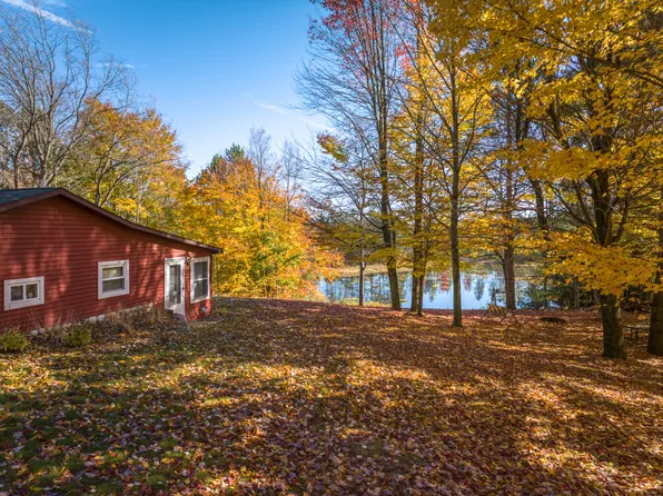 16853 Nineteen Mile Rd, Leroy, MI 49655