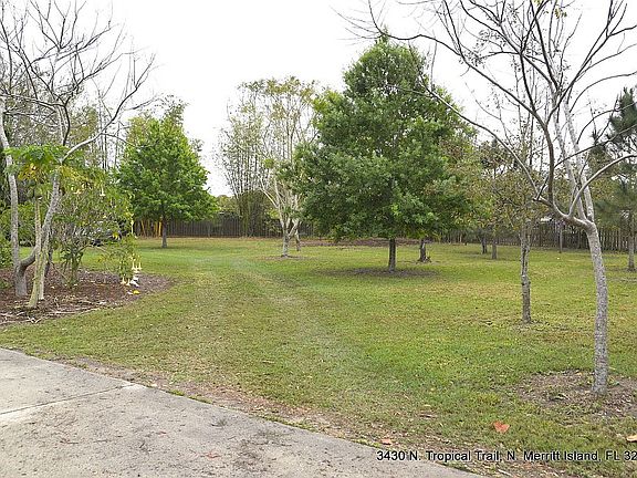 South side yard