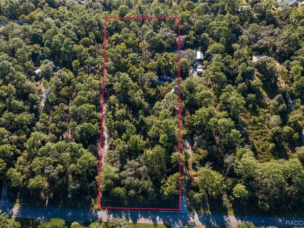 1108 S Candlenut Ave, Homosassa, FL 34448