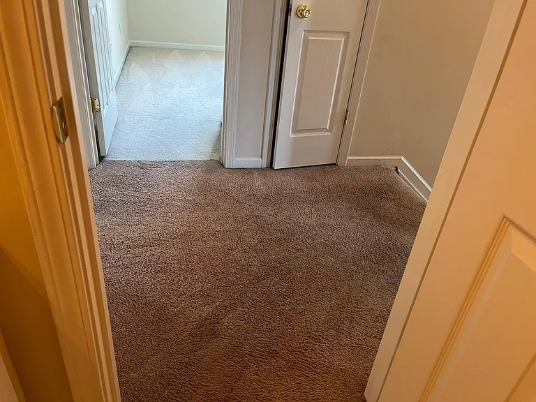 3538 Laurenhurst Ln — Photo 6