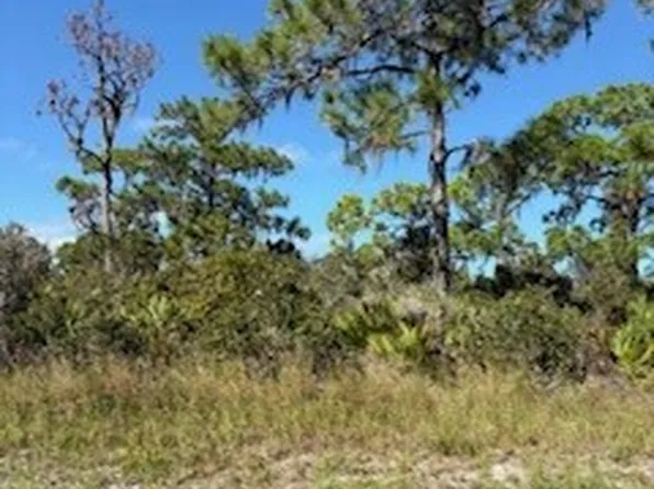 2032 Washington Blvd NW, Lake Placid, FL 33852