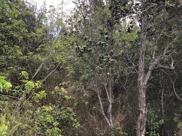 Paradise Pkwy Lot 17, Ocean View, HI 96737