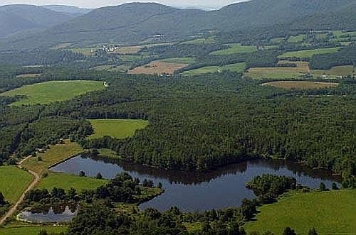 Ariel View of Lake