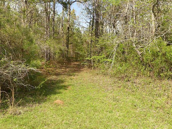 5th image of 2299 County Road 24 #0