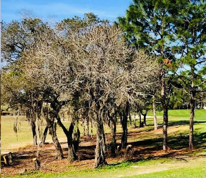 51 Hickory Course Trl — Photo 32