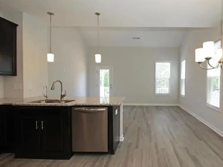 1351 Brown Velvet Ln — Photo 11