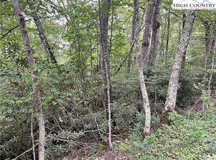 TBD Snow Ridge Road, Banner Elk, NC 28604