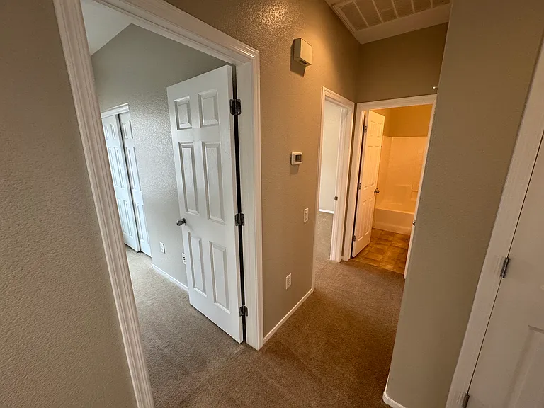 2924 Dotted Wren Ave — Photo 12