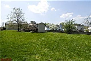 4th image of 16563 Birch Forest Dr
