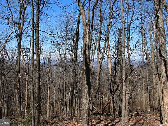 4th image of Windy Way