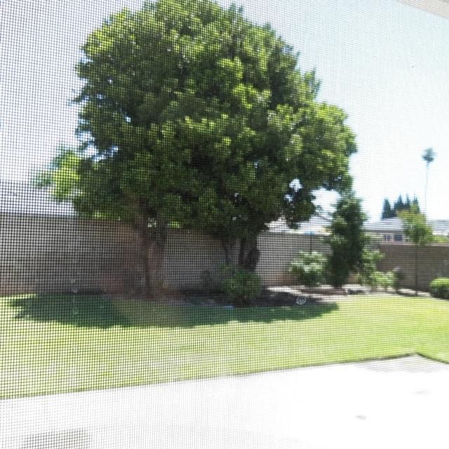 2nd image of 15998 Mount Mitchell Cir