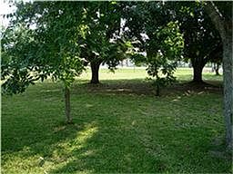 2nd image of 4538 Sand Hill Ln