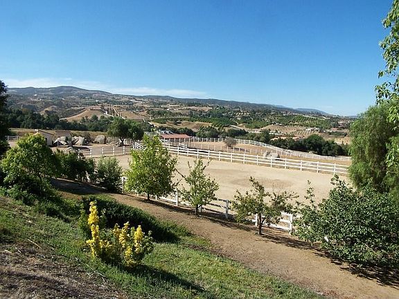 Excellent Horse Property