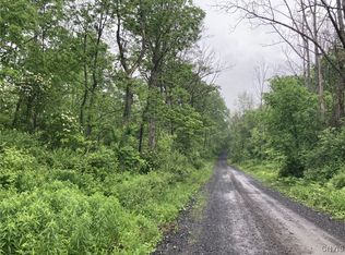 Lynch Rd #3, Newport, NY 13416