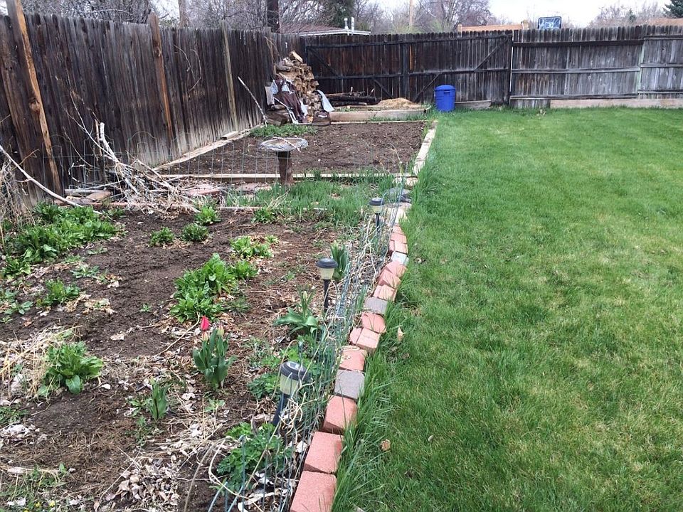 Kitchen Garden/Backyard