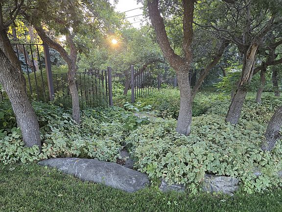 Side yard