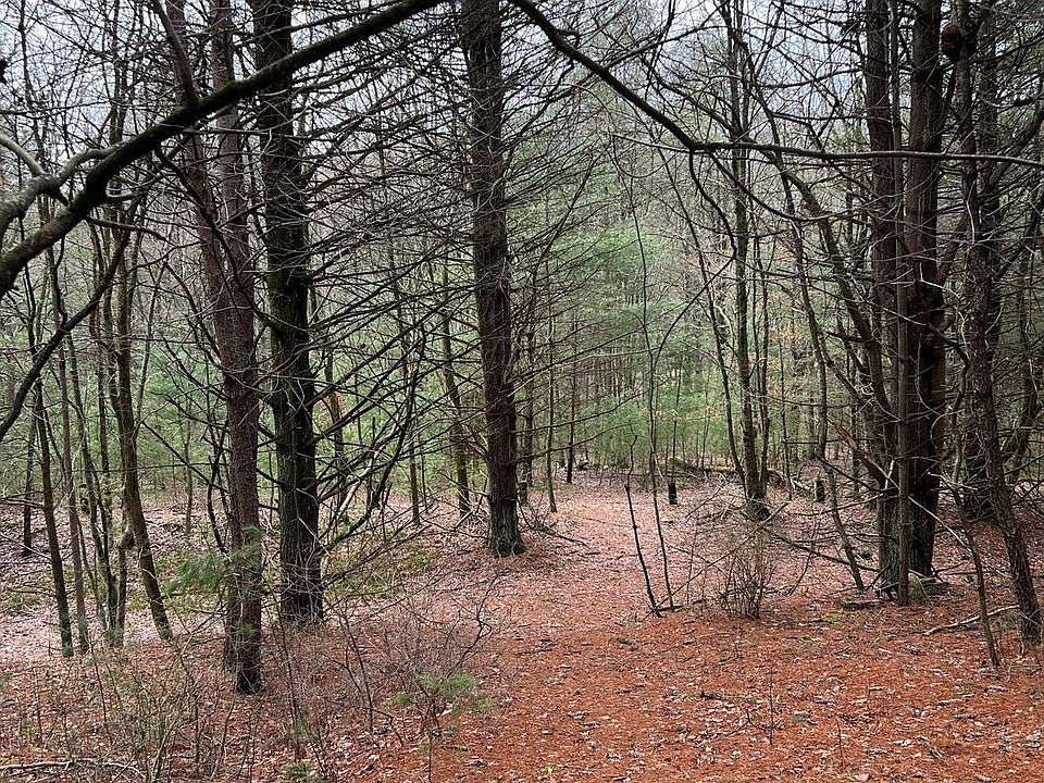 2nd image of 0 Greenland Rd