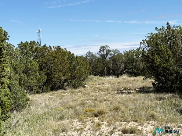 3 Buck Run Ln #6, Carlsbad, NM 88220