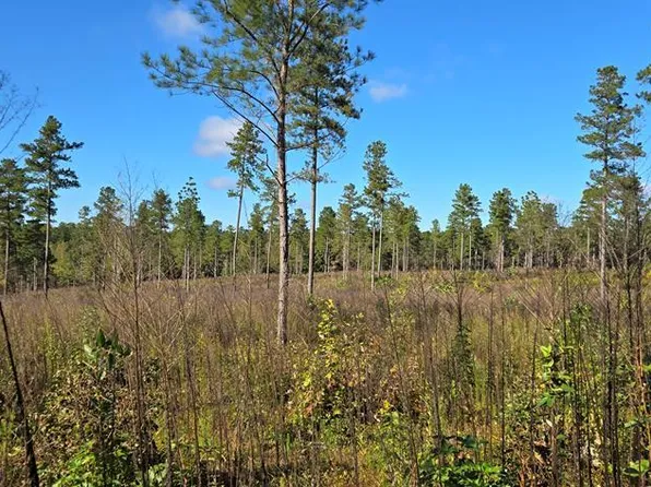 LOT Millville Rd #B, Lawrenceville, VA 23868