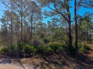 33150 Forest Ridge Rd, Deland, FL 32720