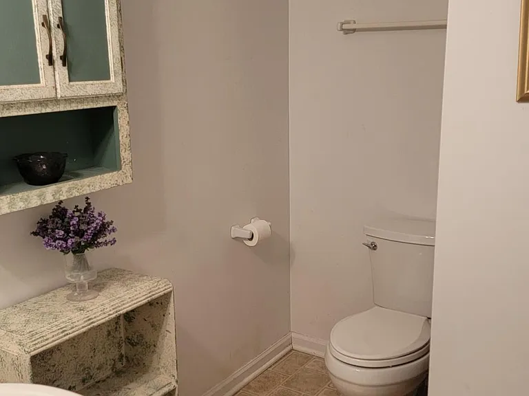 Basement bathroom